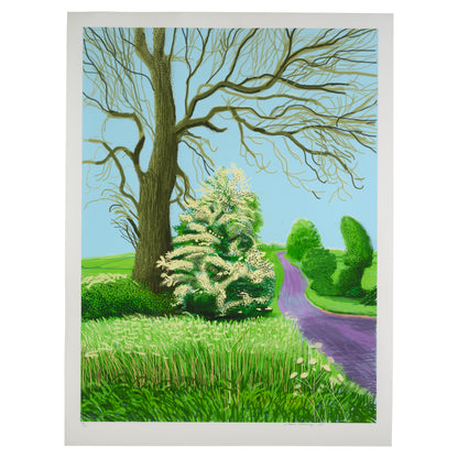 David Hockney