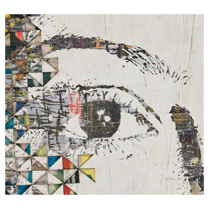 Alexandre Farto aka VHILS