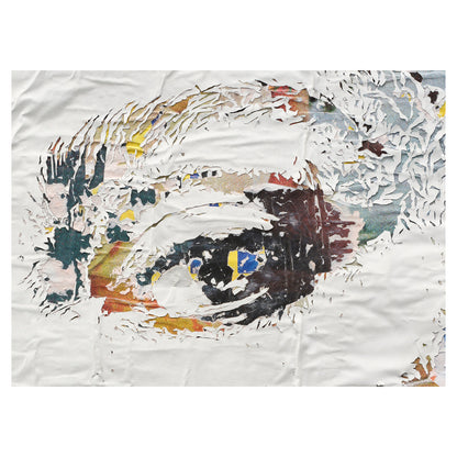 Alexandre Farto aka VHILS