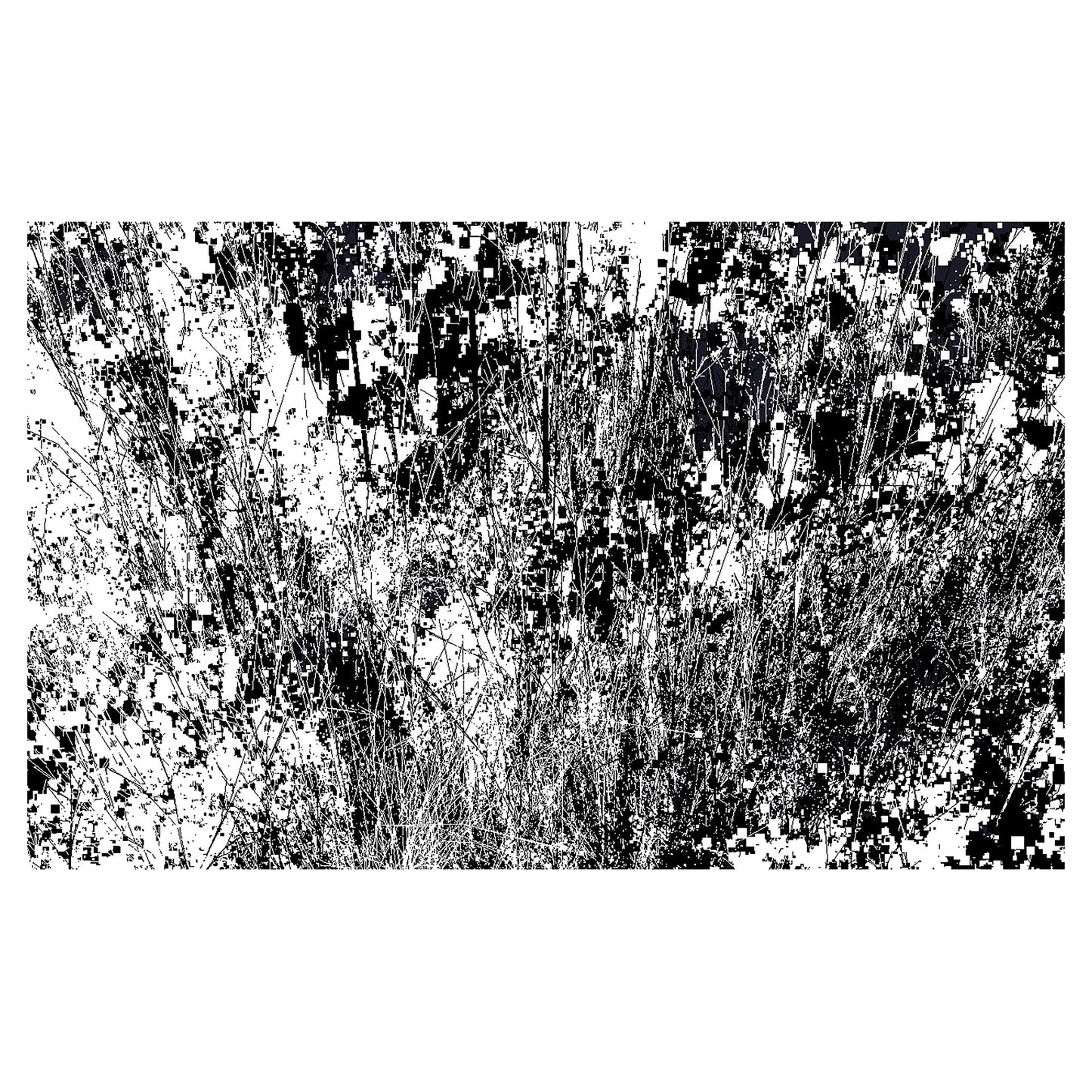 Infinite Garden Exhibition Proposal