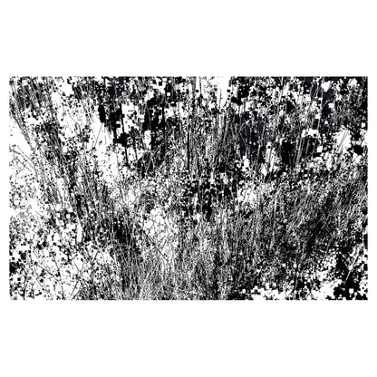 Infinite Garden Exhibition Proposal
