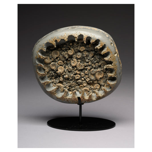 An Early Snapshot of Life