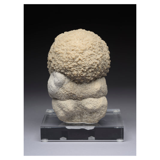 The Idol from France