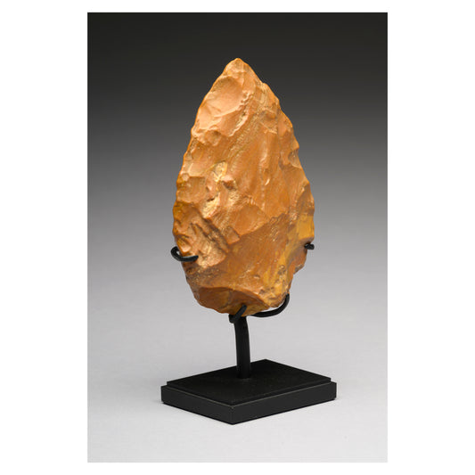 A Link to Deep Human Time