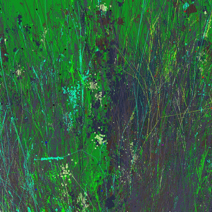 Infinite Garden Exhibition Proposal